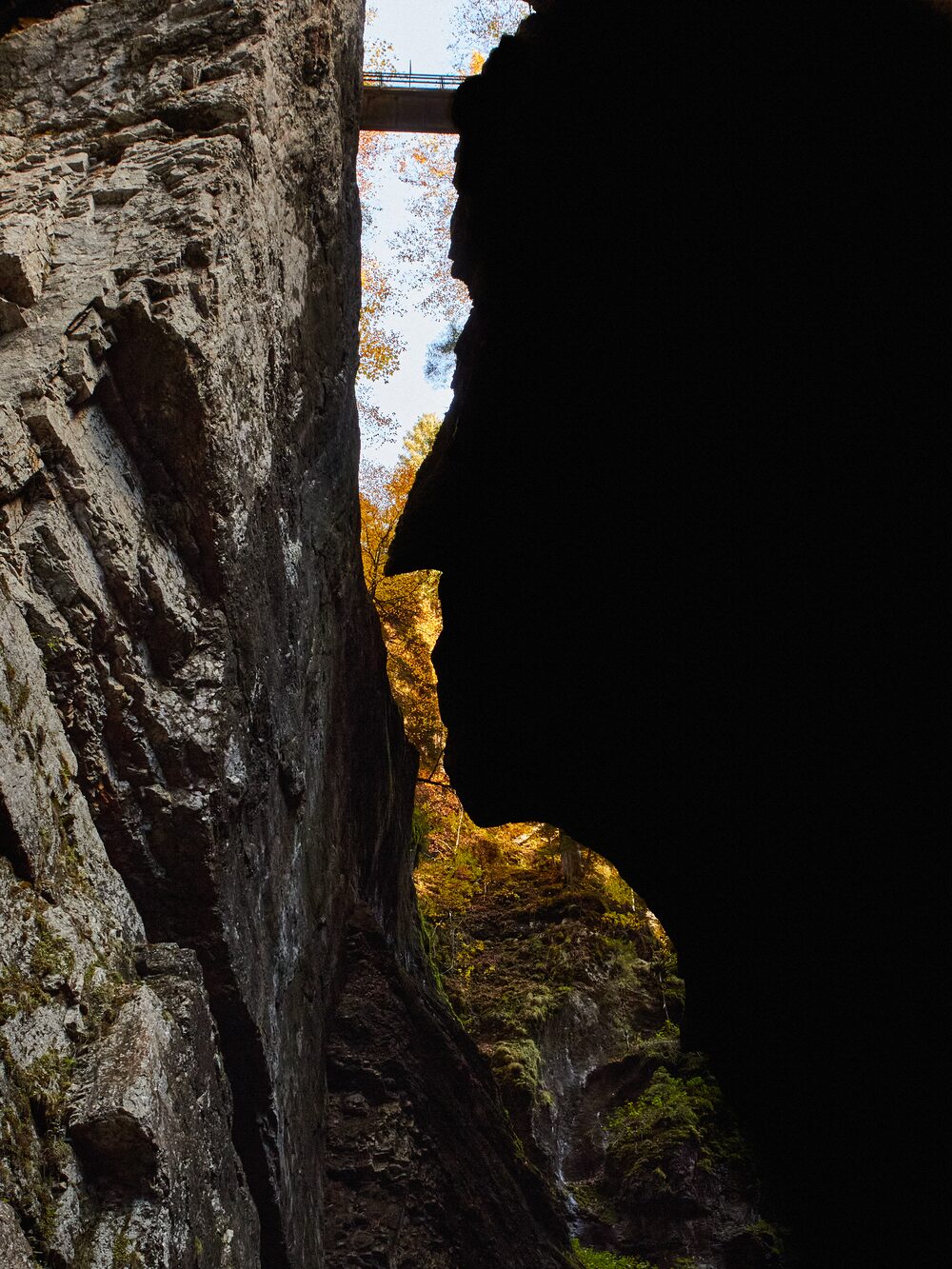 Blick aus der engen Breitachklamm hinauf zu einem Steg zwischen den Felswänden, dahinter leuchtet herbstlicher Wald.