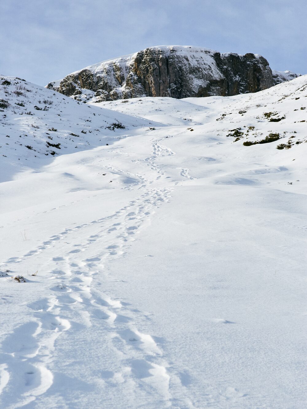 Fußspuren im Schnee führen einen Hang hinauf zur Felswand des Hohen Ifen im winterlichen Kleinwalsertal.